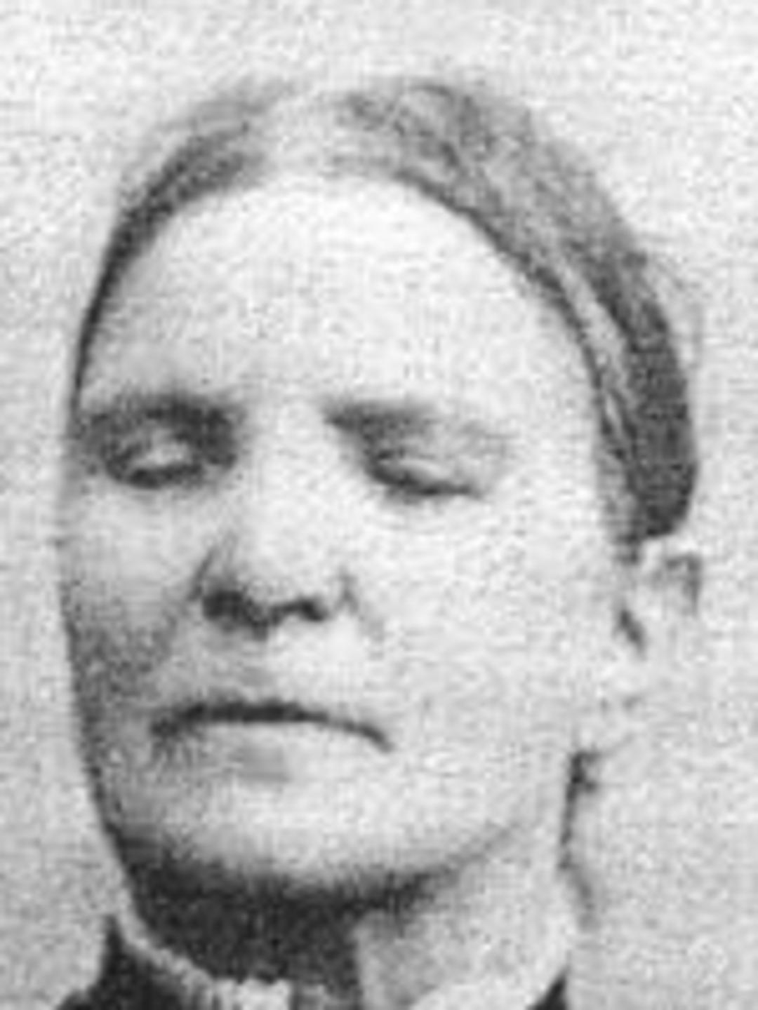 Fanny Walker (1819 - 1907) Profile